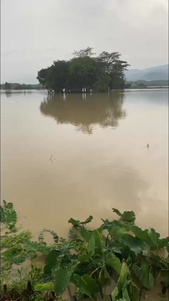 TikTok video thumbnail by mdmaherahmed8789