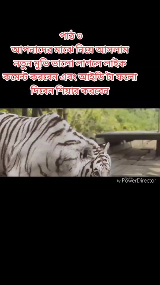 TikTok video thumbnail by username...rakib