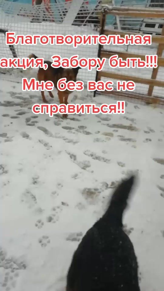 TikTok video thumbnail by dobridrugengsar