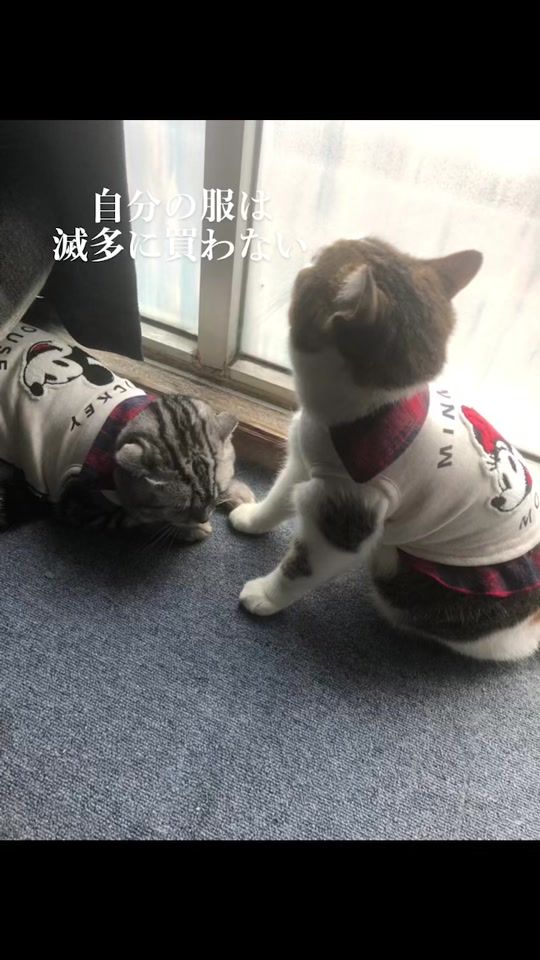 TikTok video thumbnail by plusultra222