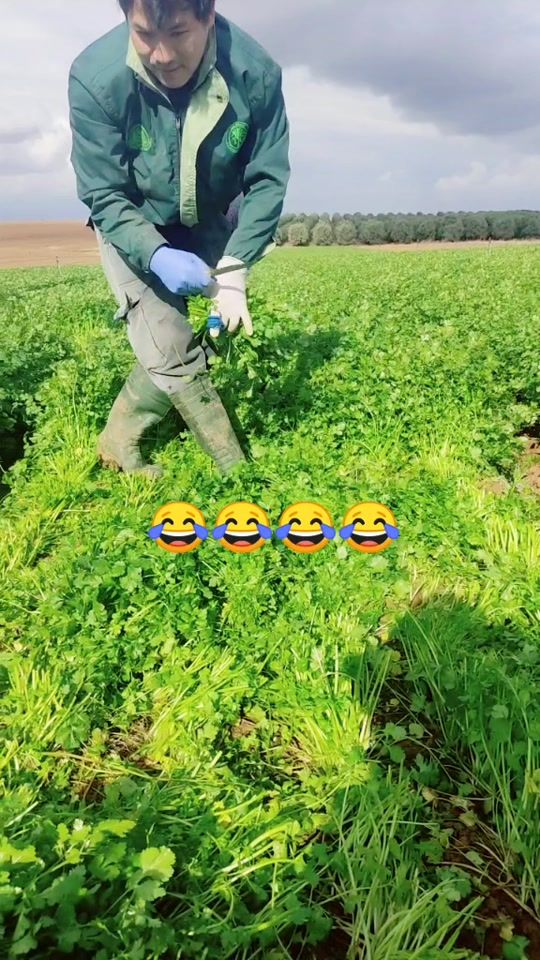 TikTok video thumbnail by loveyoufah1