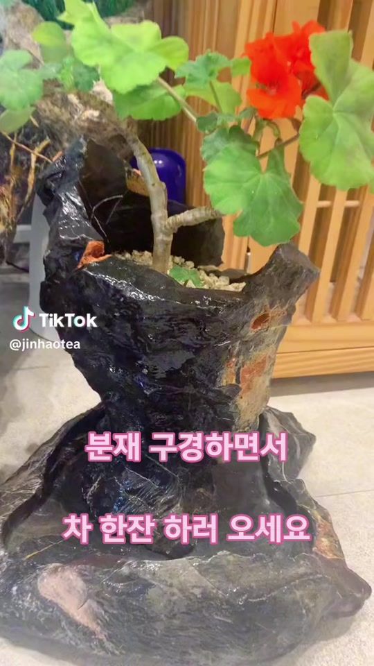TikTok video thumbnail by koreazhu