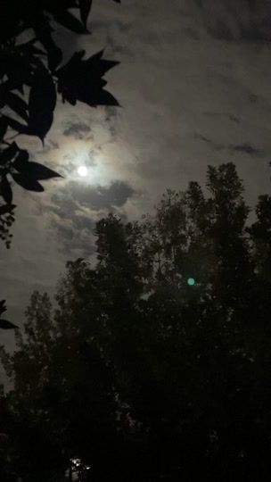 TikTok video thumbnail by axiv_11