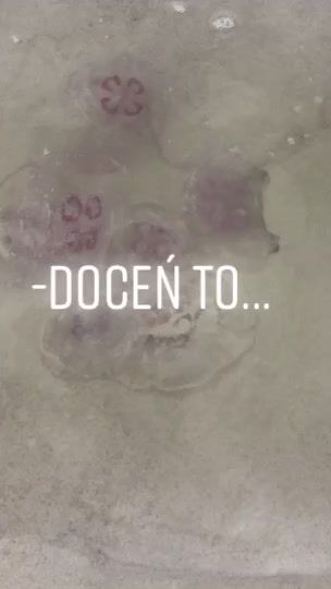 TikTok video thumbnail by _c_y_t__a_t_y_