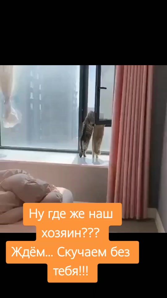 TikTok video thumbnail by natali56358