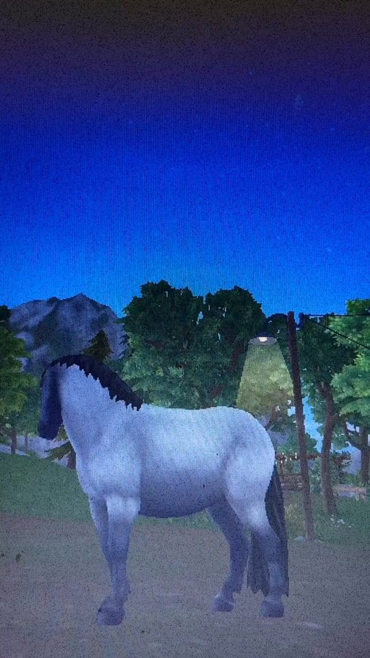 TikTok video thumbnail by phoenix..beachstone