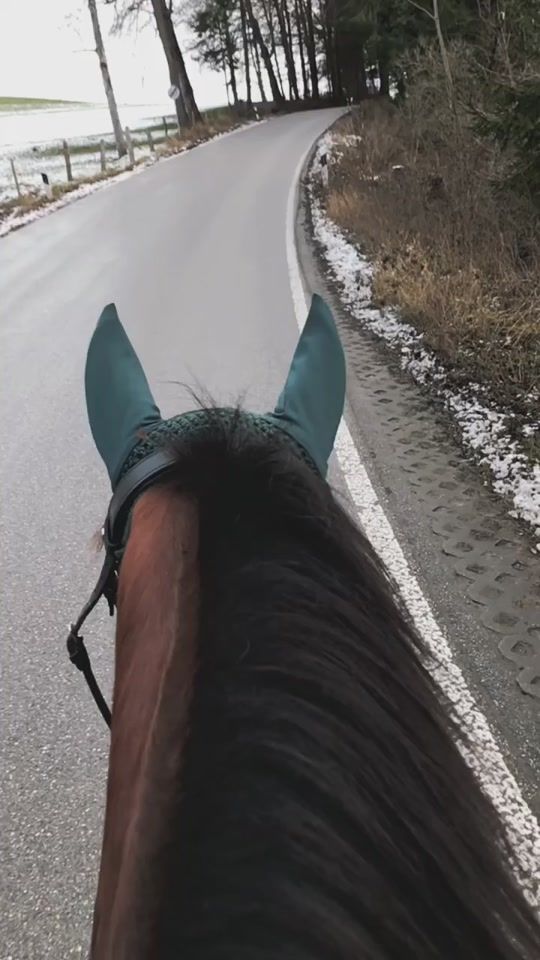 TikTok video thumbnail by floris.ponies.b_g