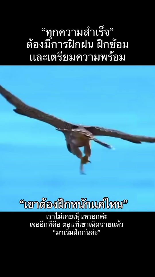 TikTok video thumbnail by mathaveej307