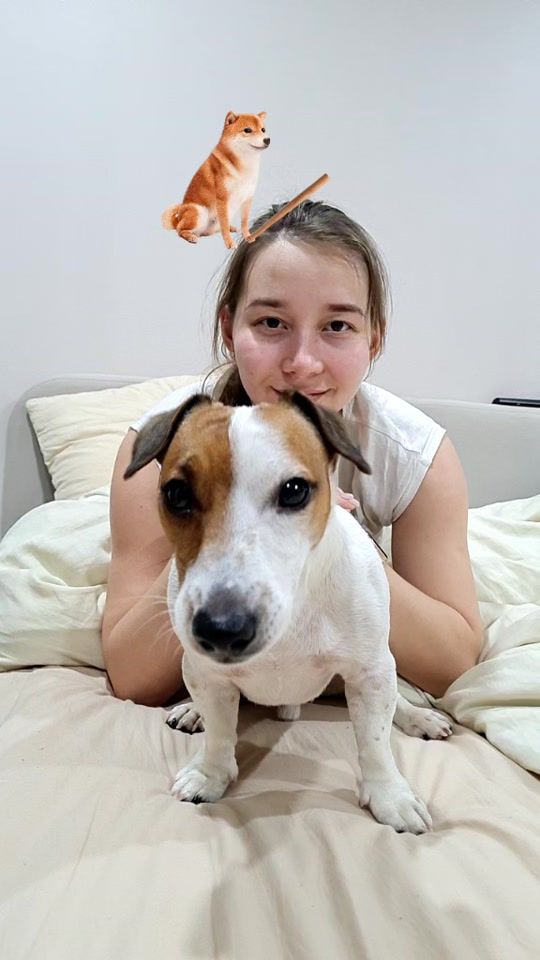 TikTok video thumbnail by dog_ram_21