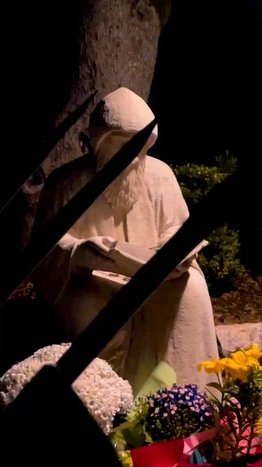TikTok video thumbnail by saint_charbel_
