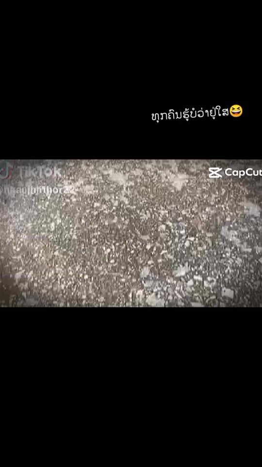 TikTok video thumbnail by ibleejnamzoo
