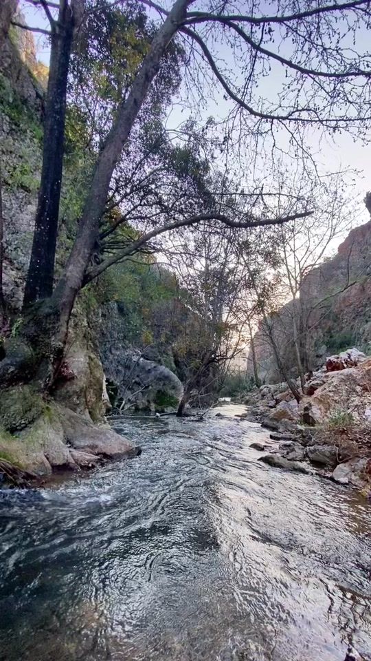 TikTok video thumbnail by soha.alkhatib