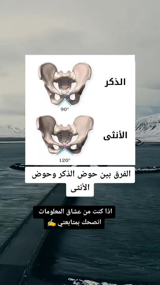 TikTok video thumbnail by haya_uy4
