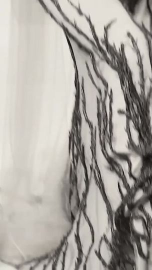 TikTok video thumbnail by vi0letsf0rroses_