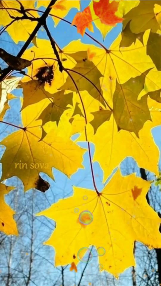 TikTok video thumbnail by la0478