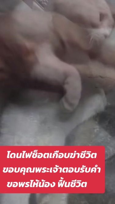 TikTok video thumbnail by p_ice.nakrab