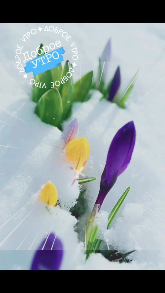 TikTok video thumbnail by irina_yspeh