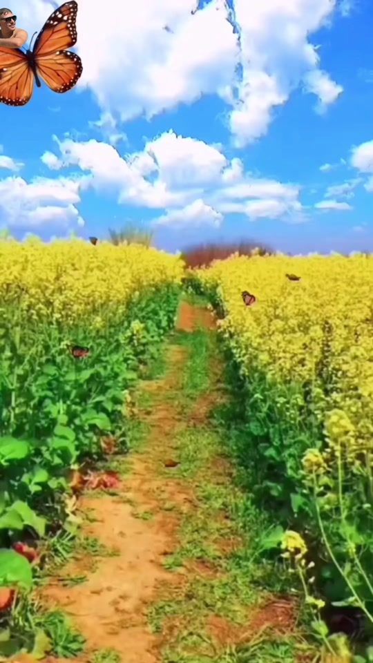 TikTok video thumbnail by 3absi1999