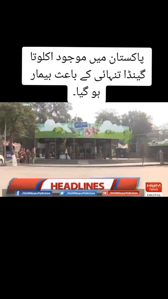 TikTok video thumbnail by abdulmanan_789