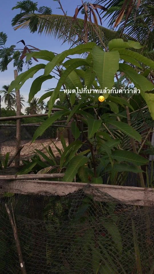 TikTok video thumbnail by kwankhaw_2