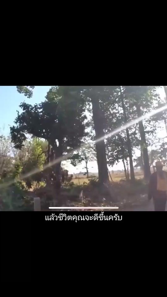 TikTok video thumbnail by userbftzueqh98