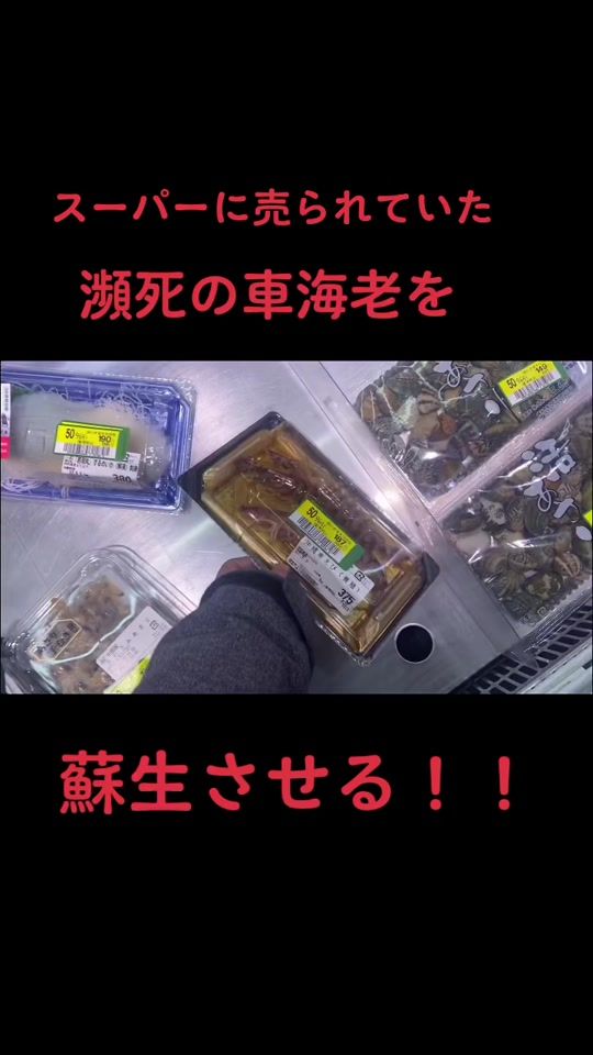 TikTok video thumbnail by yoshihiro.yamaguchi