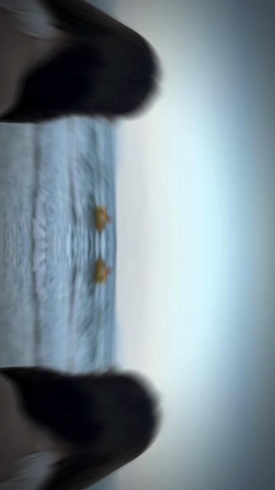 TikTok video thumbnail by yu__11.13