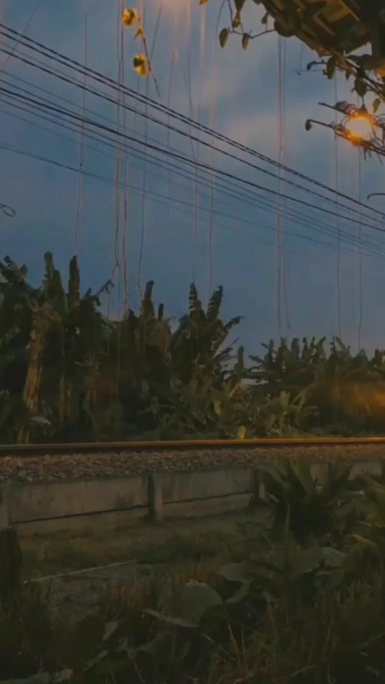 TikTok video thumbnail by zino__tweetts