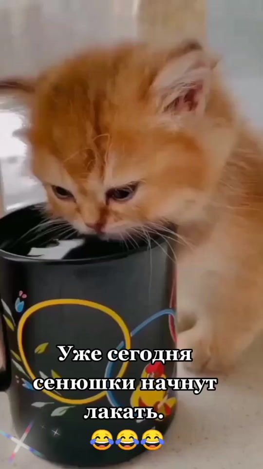 TikTok video thumbnail by kosst1972