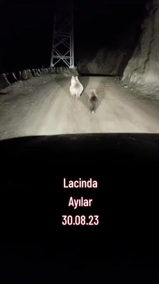 TikTok video thumbnail by byunusovlarn