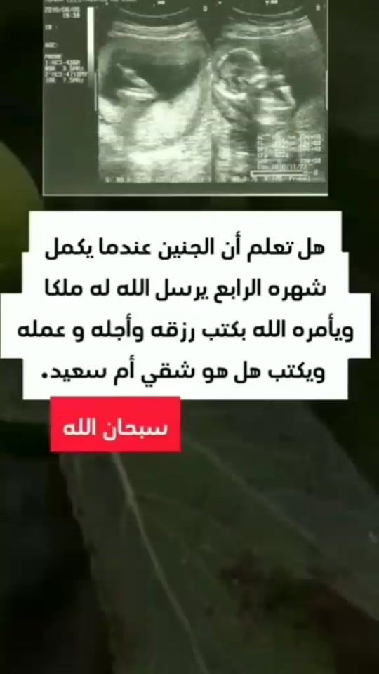 TikTok video thumbnail by obook7