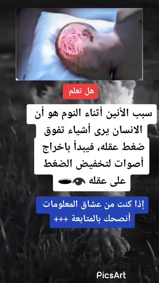 TikTok video thumbnail by alikx00