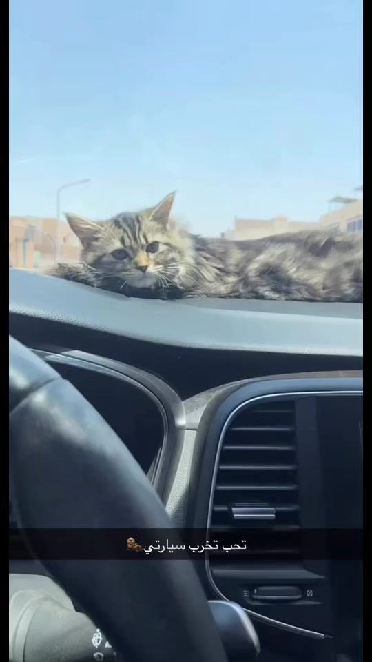 TikTok video thumbnail by ma93m1