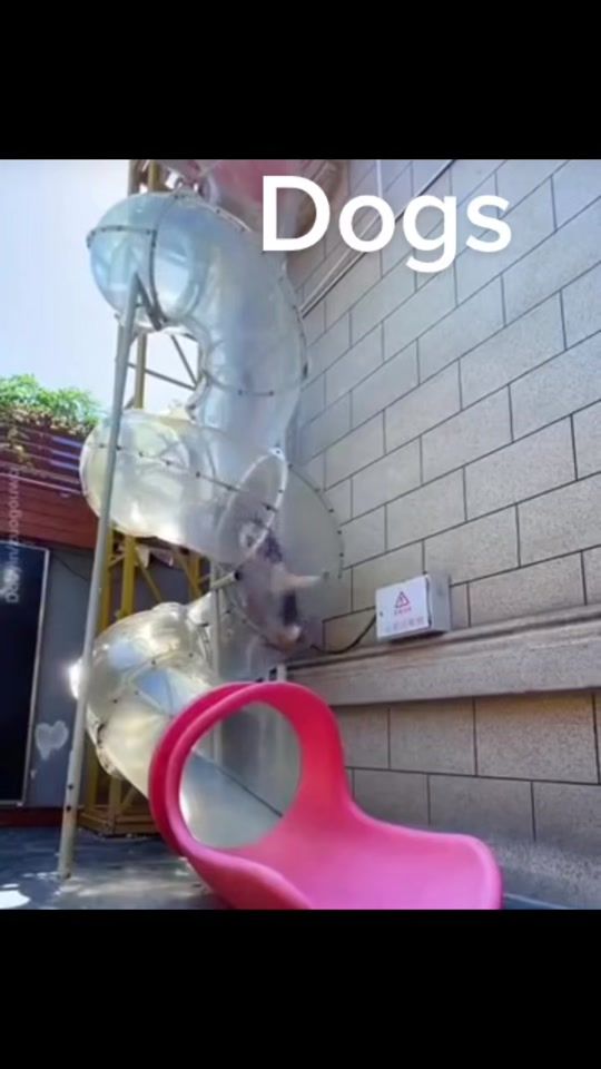 TikTok video thumbnail by skeletorandrander