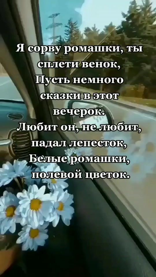 TikTok video thumbnail by rozachernaya0