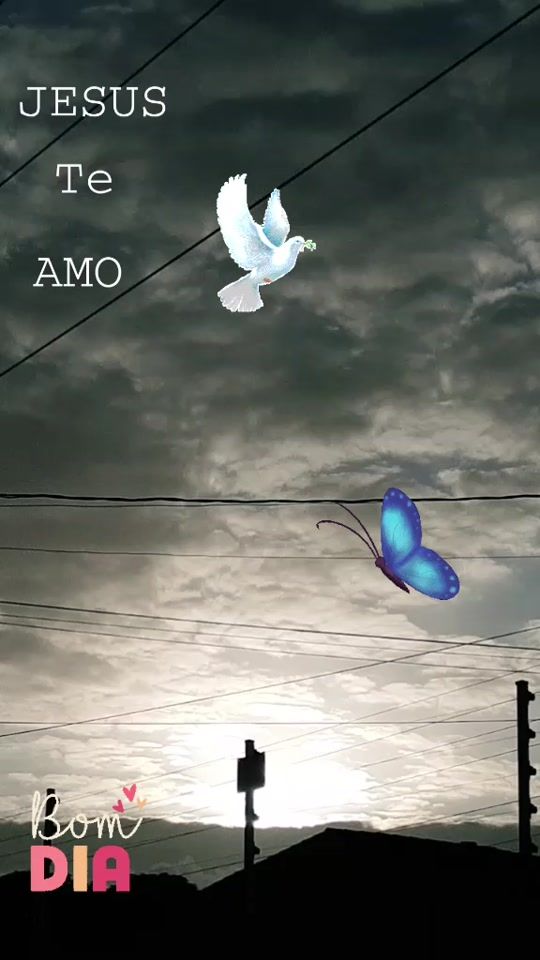 TikTok video thumbnail by aguidagonzagaesilva