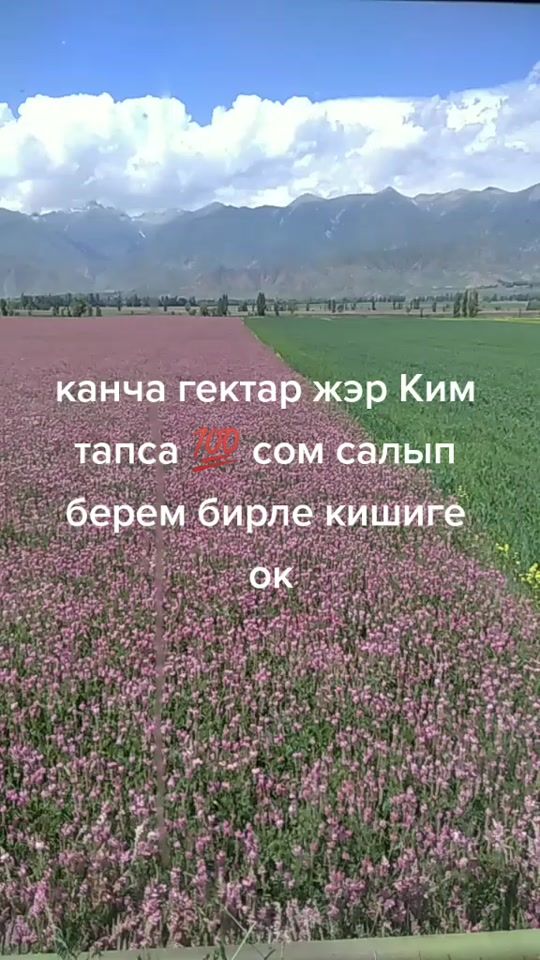 TikTok video thumbnail by 09kg40