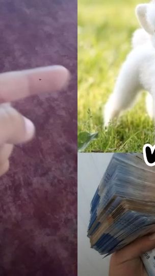 TikTok video thumbnail by haneenghareeb285