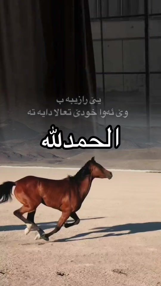 TikTok video thumbnail by kchka_slevanay.8