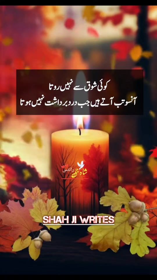 TikTok video thumbnail by syed.aleem.1985