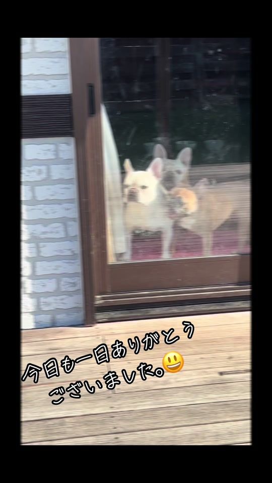TikTok video thumbnail by user8467013610413
