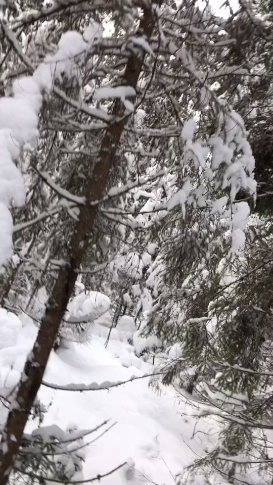 TikTok video thumbnail by robertshans