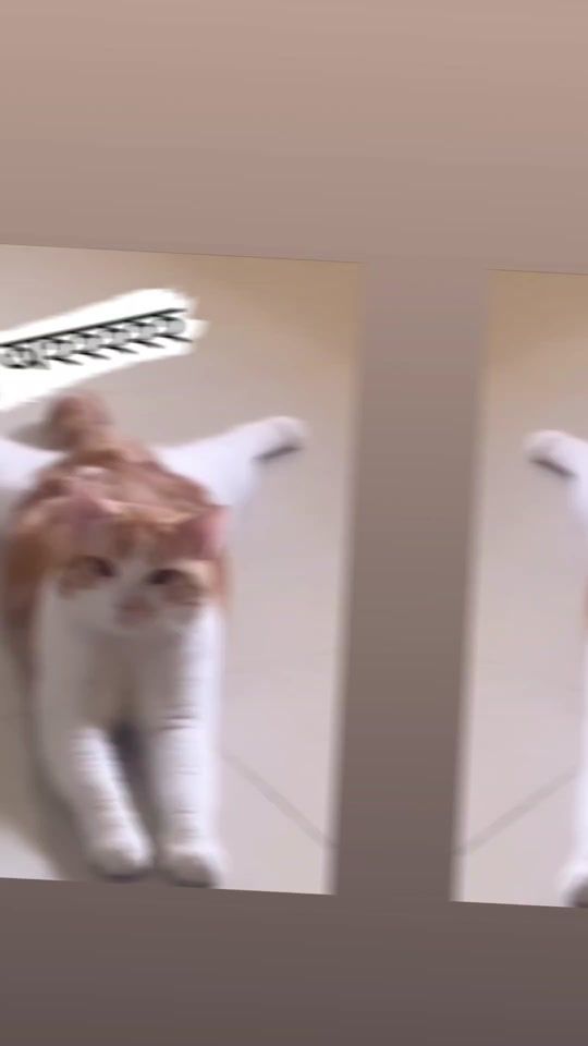 TikTok video thumbnail by runa____jannat