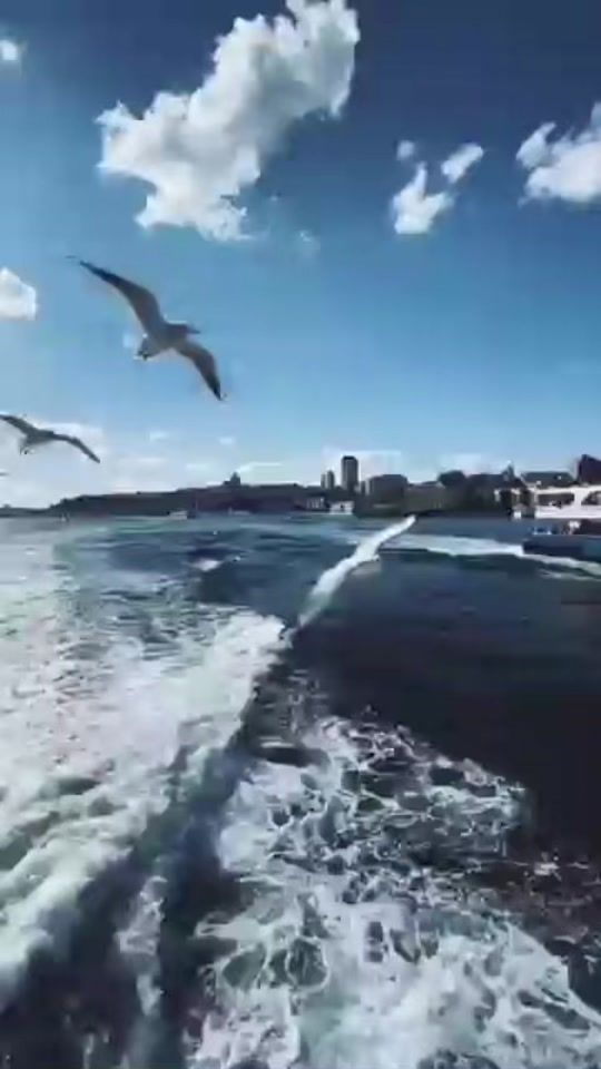 TikTok video thumbnail by adilbaxishli