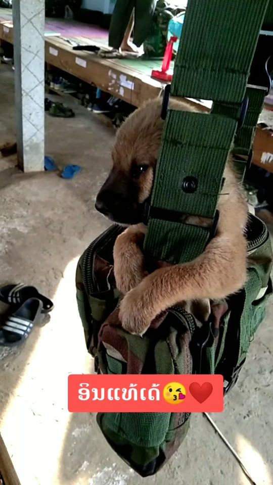 TikTok video thumbnail by saeng.phet
