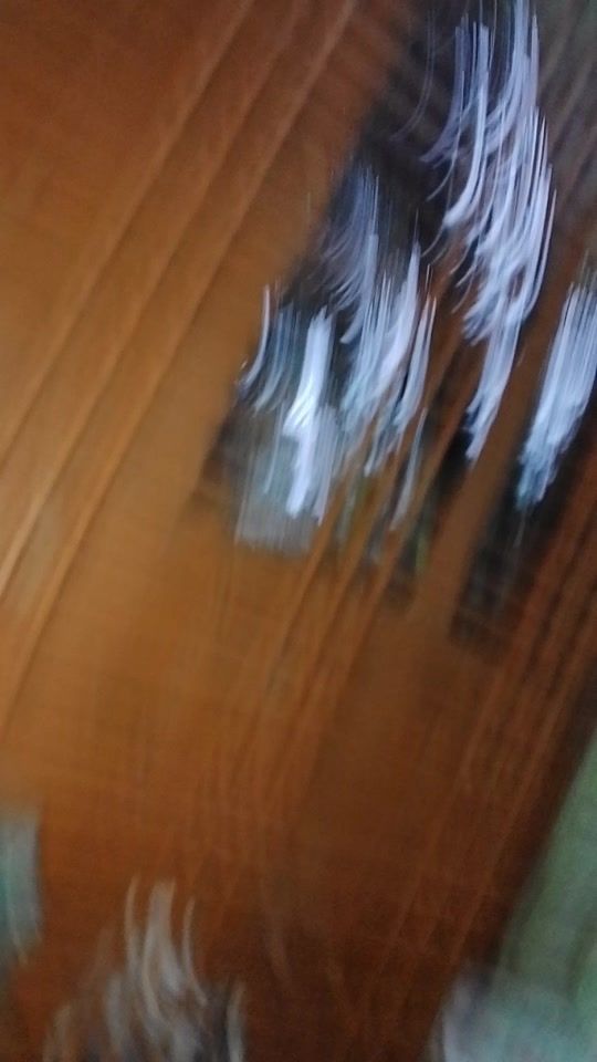 TikTok video thumbnail by mahimahiofficial3