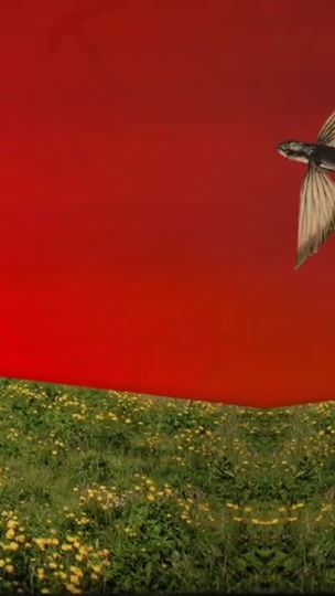 TikTok video thumbnail by underconnected