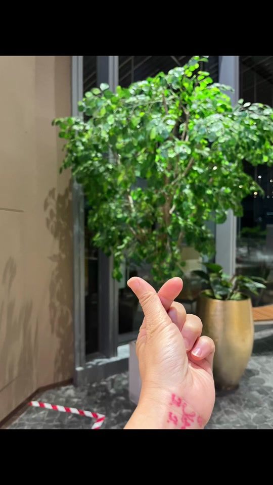TikTok video thumbnail by m429968