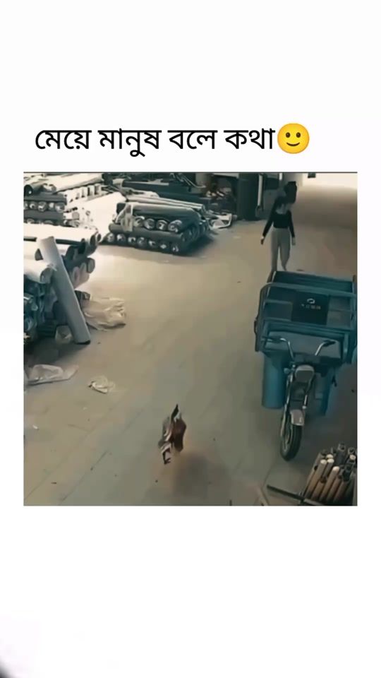 TikTok video thumbnail by afrinsneha188