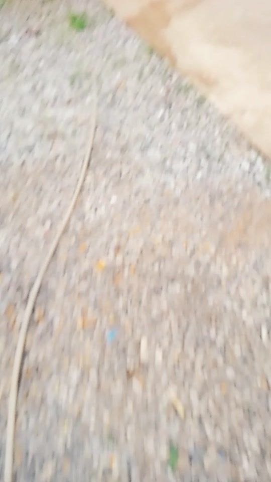 TikTok video thumbnail by 31256013433